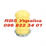 Renault Bus Service Kiev