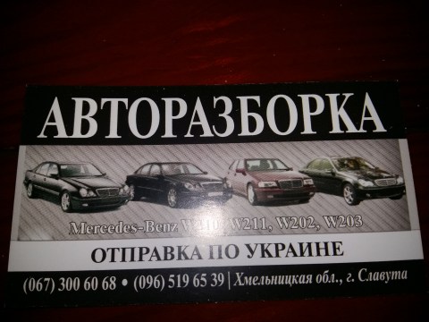 Логотип Bagira